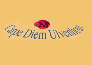 Carpe Diem Ulvenhout