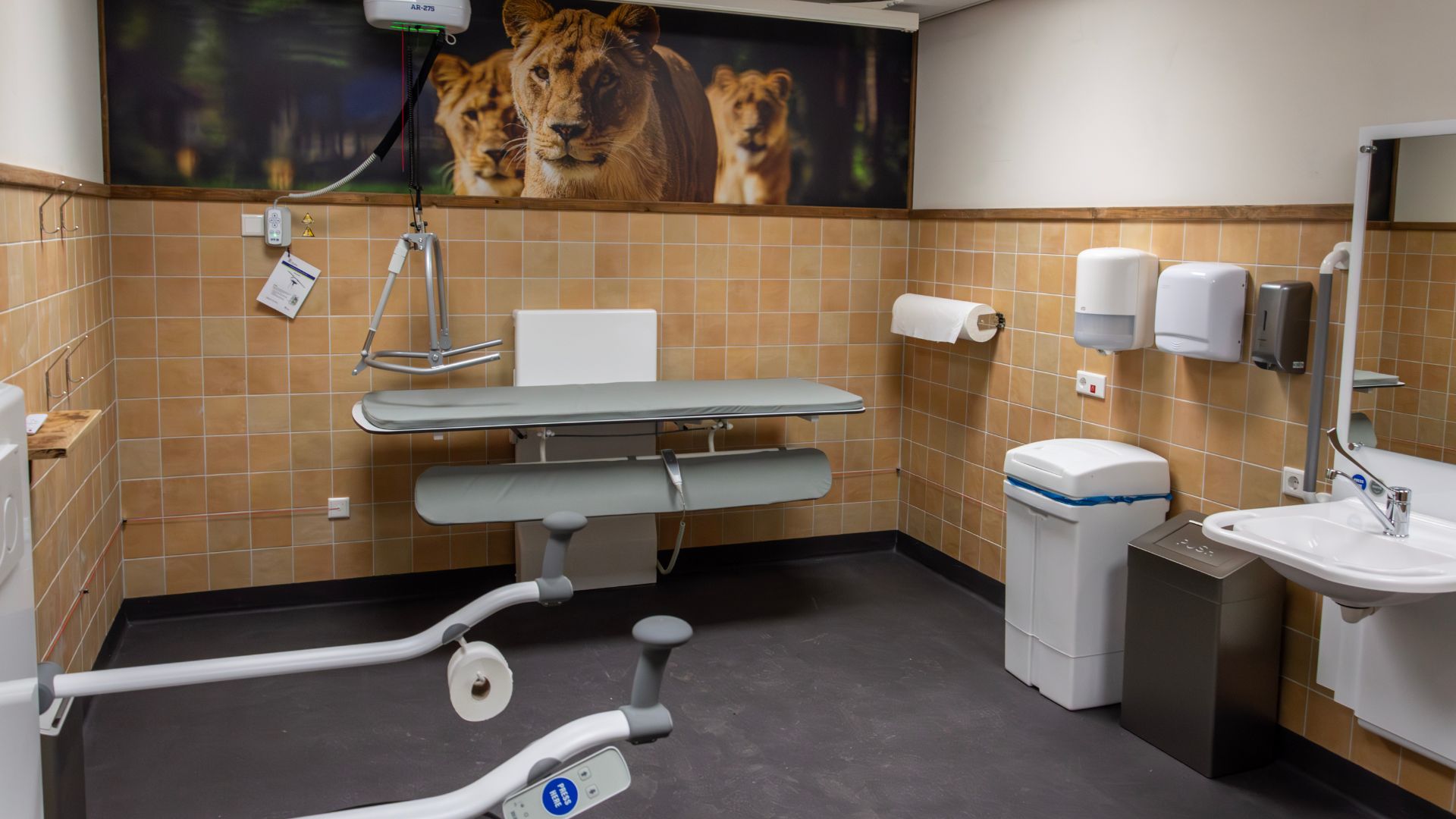 Changingplaces toilet